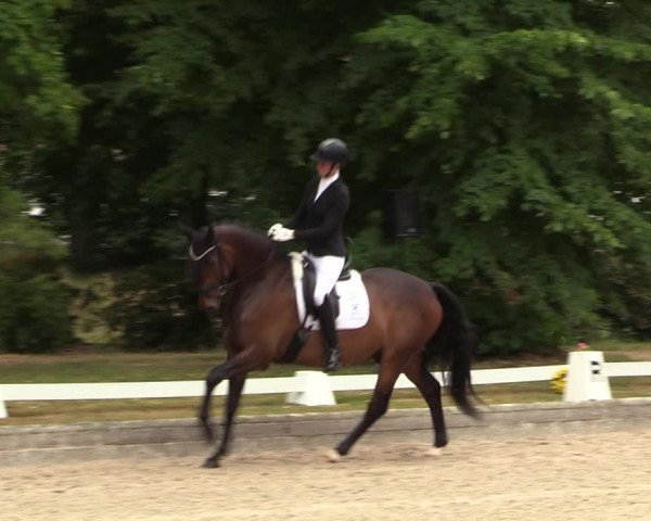 Reitturnier Redefin 2022