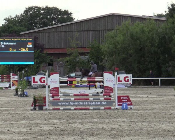 Reitturnier Haren-Raken 2022