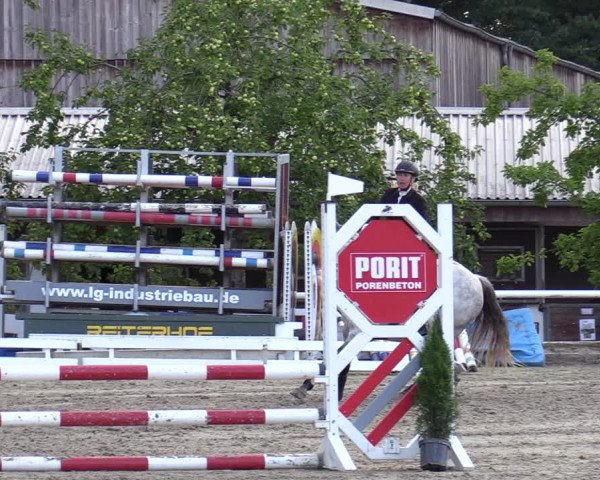 Reitturnier Haren-Raken 2022