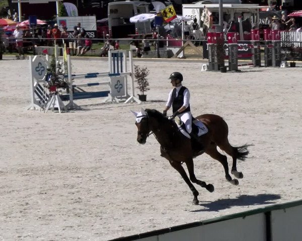 Reitturnier Gossau (Stall Sommersweid) 2022