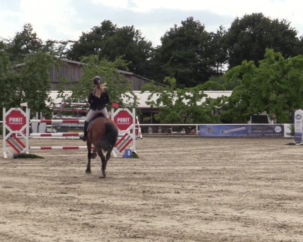 Reitturnier Haren-Raken 2022
