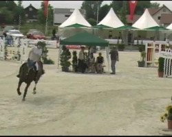 jumper Ramino 73 (Sachse, 2002, from Ramonus)