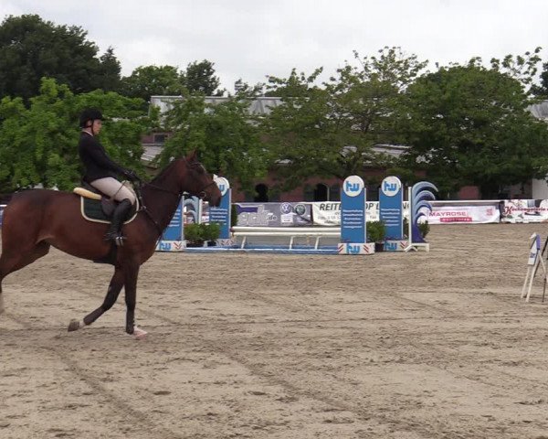 Reitturnier Haren-Raken 2022