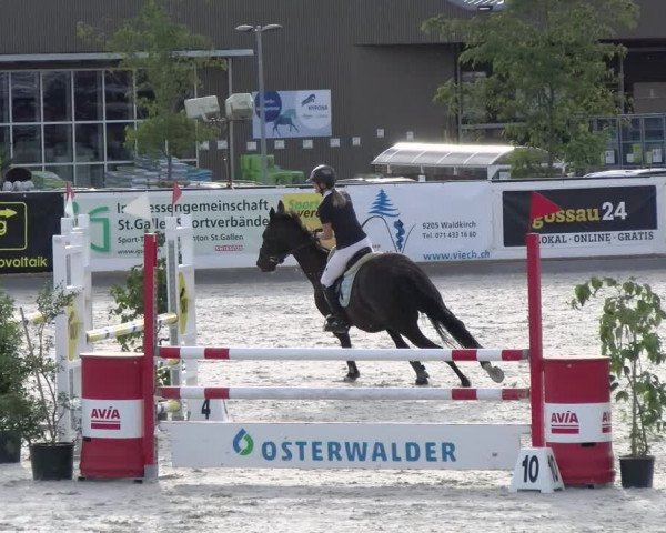 Reitturnier Gossau (Stall Sommersweid) 2022