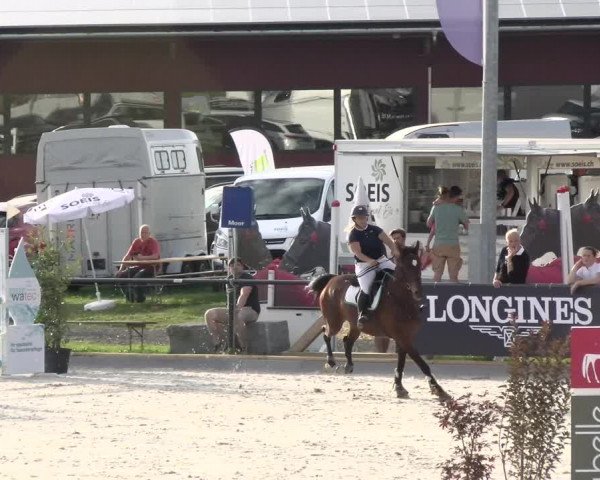 Reitturnier Gossau (Stall Sommersweid) 2022