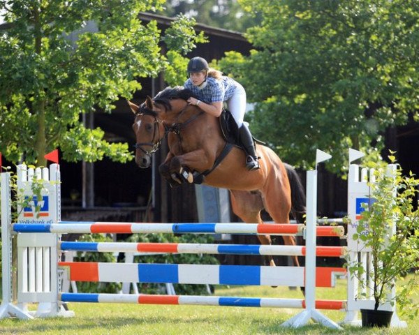 broodmare Pia (Hanoverian, 2000, from Plural)