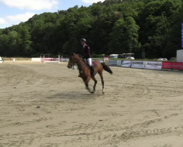 Reitturnier Hemer-Oese an der Edelburg 2022