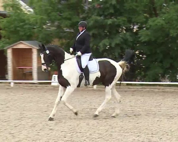 Reitturnier Hof-Haidt/Ofr. 2022