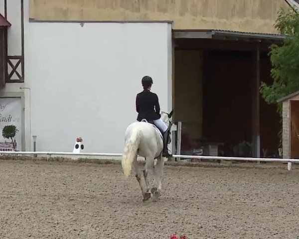 Reitturnier Hof-Haidt/Ofr. 2022