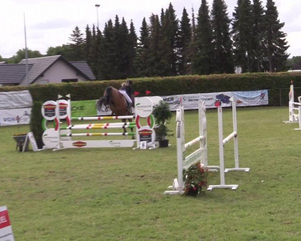 Reitturnier Moringen 2022