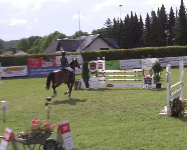Reitturnier Moringen 2022