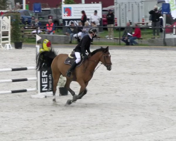 Reitturnier Gossau (Stall Sommersweid) 2022
