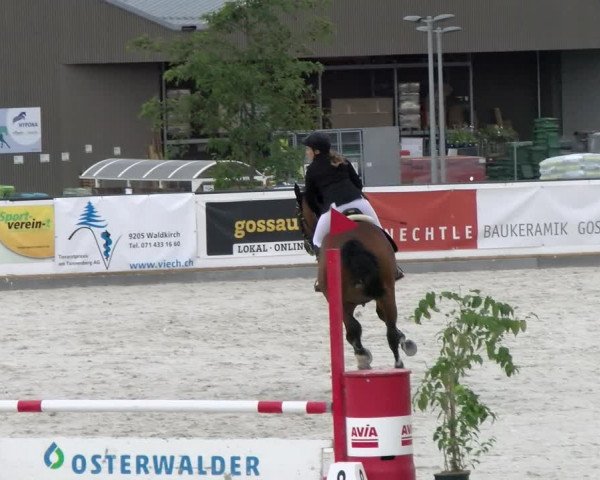 Reitturnier Gossau (Stall Sommersweid) 2022