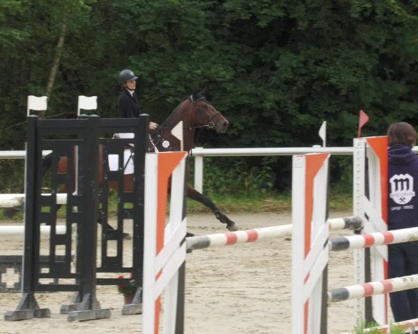 Reitturnier Hünfelden-Kirberg 2022