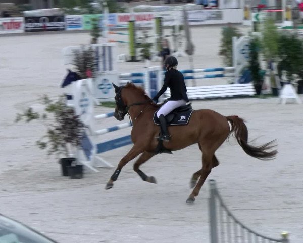 Reitturnier Gossau (Stall Sommersweid) 2022