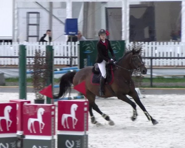 Reitturnier Gossau (Stall Sommersweid) 2022