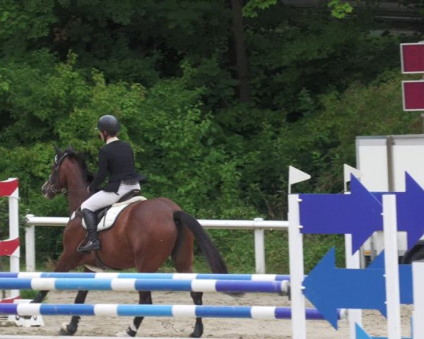 Reitturnier Hünfelden-Kirberg 2022