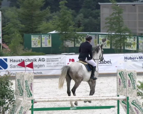 Reitturnier Gossau (Stall Sommersweid) 2022