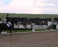 Broodmare Fein Cera HRH (Hanoverian, 2002, from Fürst Heinrich)