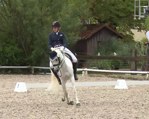 Reitturnier Hof-Haidt/Ofr. 2022