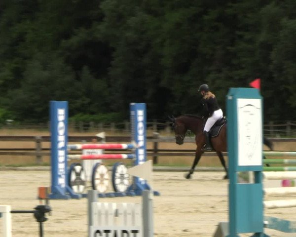 Reitturnier Hemer-Oese an der Edelburg 2022