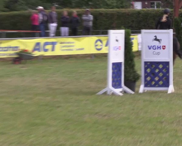 Reitturnier Moringen 2022