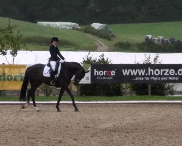 Dressurpferd Emilia Galotti 2 (Hannoveraner, 2004, von Earl) Dressurpferd Emilia Galotti 2 (Hannoveraner, 2004, von Earl)