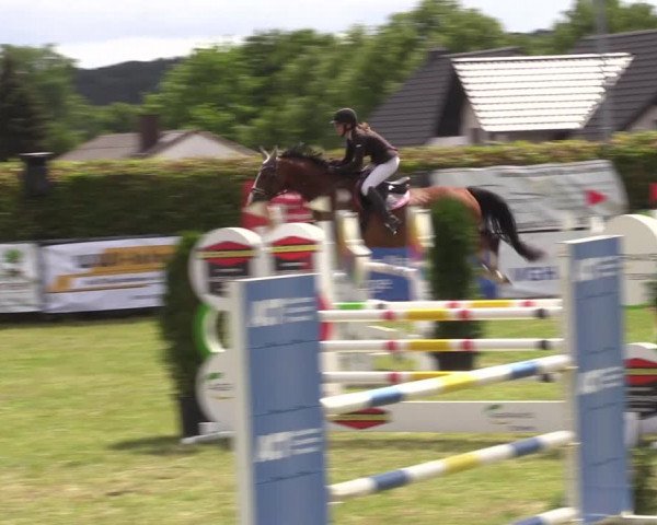 Reitturnier Moringen 2022