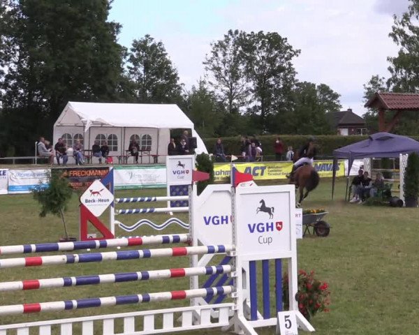 Reitturnier Moringen 2022