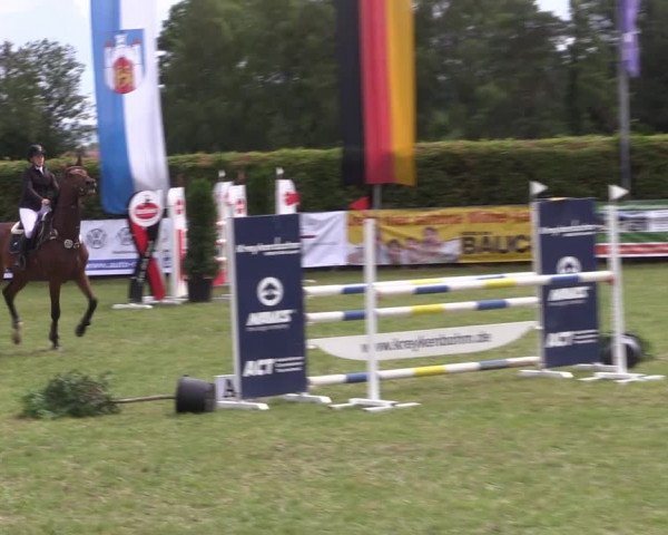 Reitturnier Moringen 2022