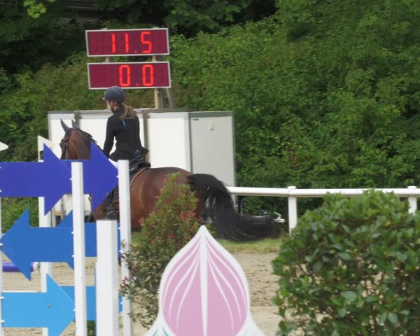 Reitturnier Hünfelden-Kirberg 2022