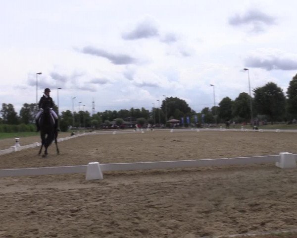 Reitturnier Münster-Roxel 2022