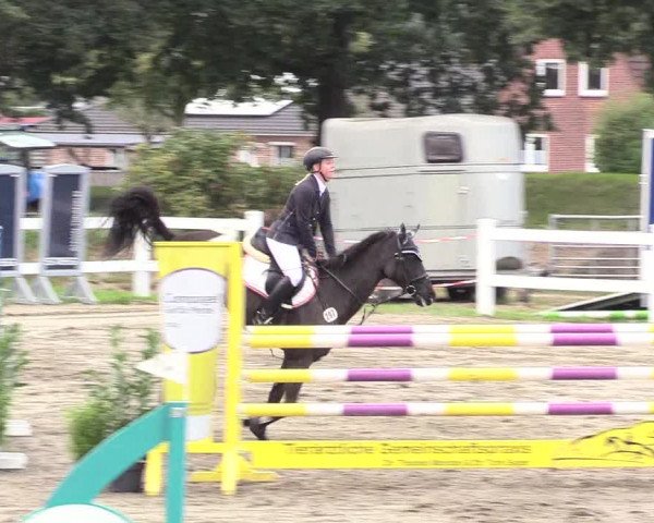 Springturnier Mildstedt 2021