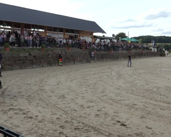 Reitturnier Lindlar-Süttenbach 2022