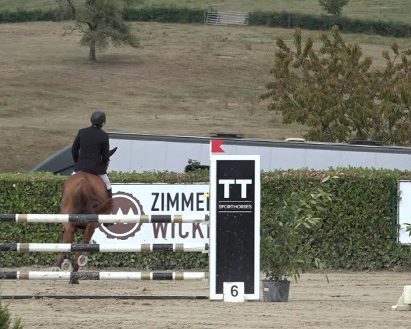 Reitturnier Lindlar-Süttenbach 2022
