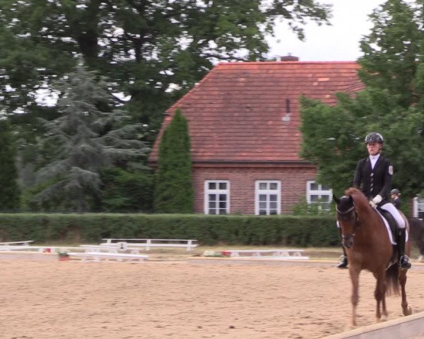 Reitturnier Redefin 2022