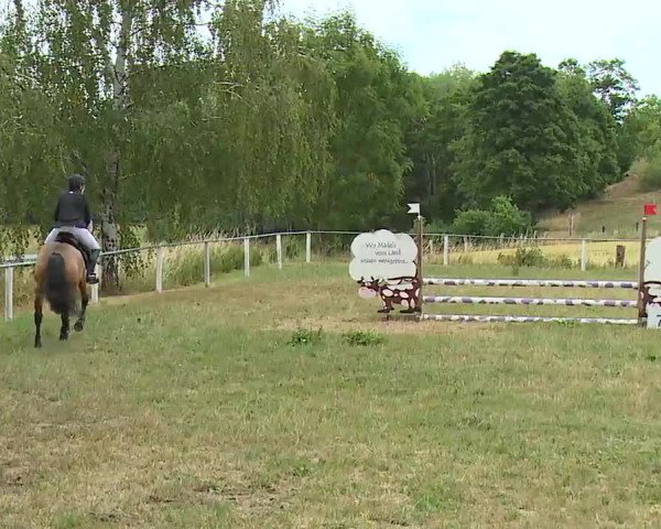 Reitturnier Hof-Haidt/Ofr. 2022