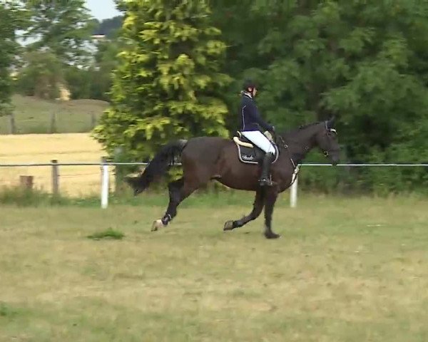 Reitturnier Hof-Haidt/Ofr. 2022