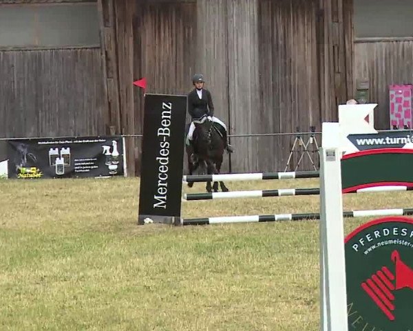 Reitturnier Hof-Haidt/Ofr. 2022