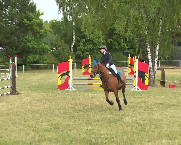 Reitturnier Hof-Haidt/Ofr. 2022