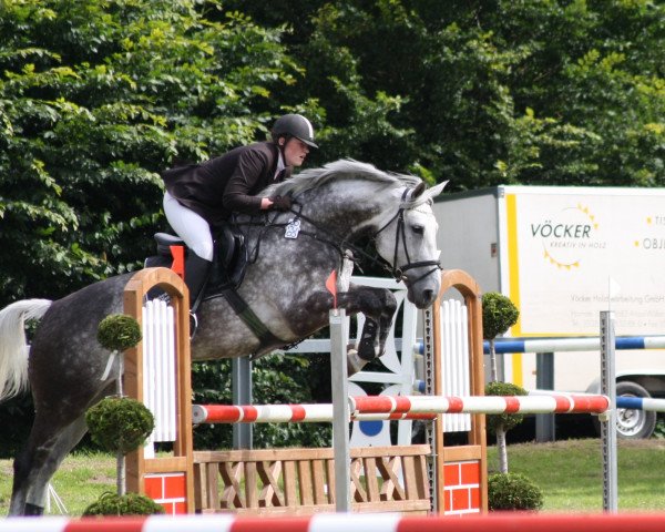 jumper Rabella-bionda (Hanoverian, 2003, from Rebel Z I)