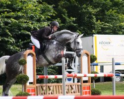 jumper Rabella-bionda (Hanoverian, 2003, from Rebel Z I)