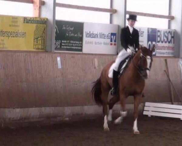 dressage horse Fabiani 7 (Oldenburg, 2001, from Florestan I)
