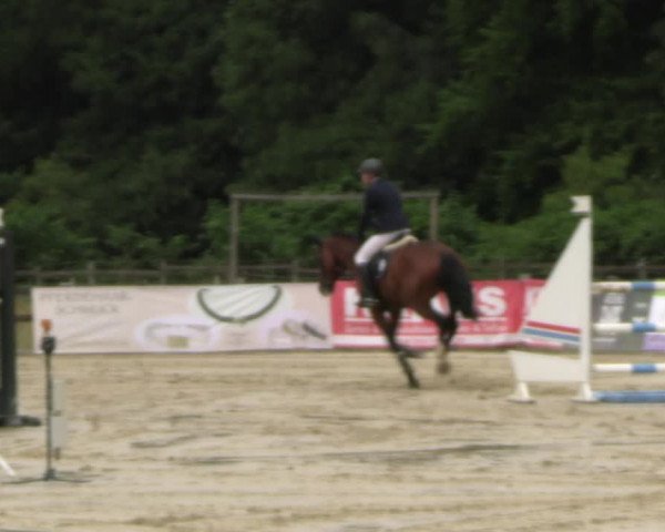 Reitturnier Hemer-Oese an der Edelburg 2022