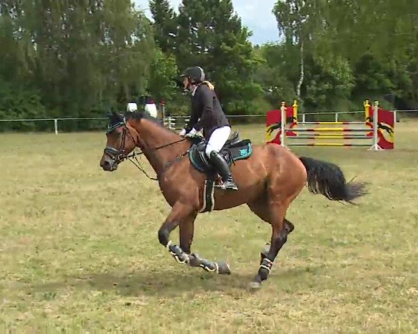 Reitturnier Hof-Haidt/Ofr. 2022