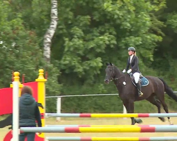 Reitturnier Hof-Haidt/Ofr. 2022
