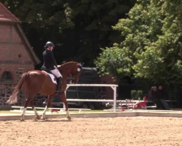 Reitturnier Redefin 2022