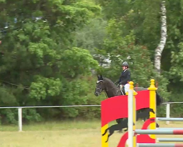 Reitturnier Hof-Haidt/Ofr. 2022