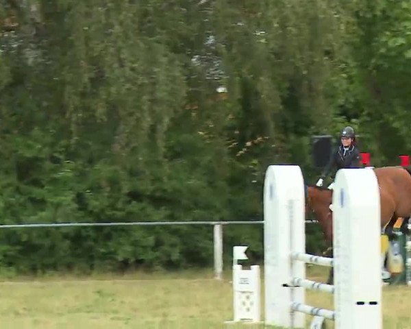 Reitturnier Hof-Haidt/Ofr. 2022