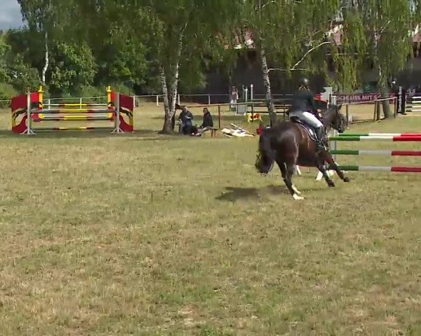Reitturnier Hof-Haidt/Ofr. 2022